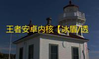 王者安卓内核【冰盾/透视/野怪技能CD计时/内核注入】辅助