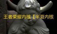 王者荣耀内核【半夏内核】辅助