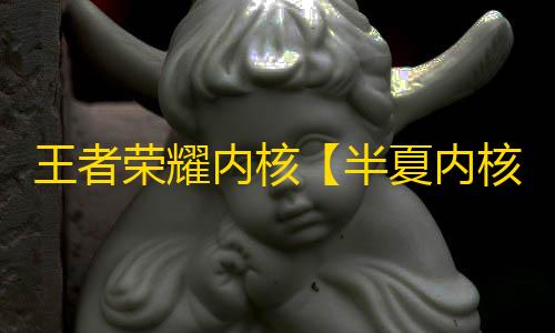王者荣耀内核【半夏内核】辅助
