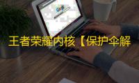 王者荣耀内核【保护伞解密版】辅助