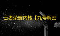 王者荣耀内核【九号解密】辅助