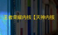 王者荣耀内核【天神内核】辅助