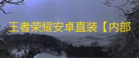 王者荣耀安卓直装【内部z】