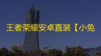 王者荣耀安卓直装【小兔子】
