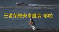 王者荣耀安卓直装-哆啦A梦辅助