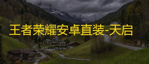 王者荣耀安卓直装-天启红莲辅助