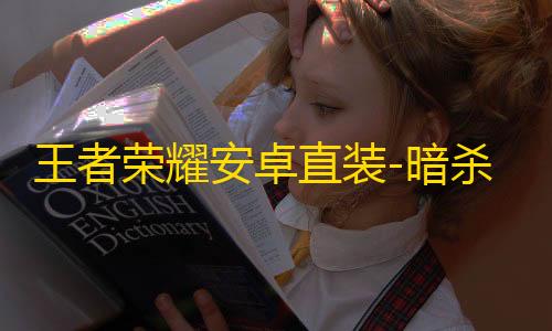 王者荣耀安卓直装-暗杀者辅助