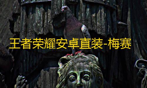 王者荣耀安卓直装-梅赛德斯辅助
