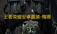 王者荣耀安卓直装-梅赛德斯辅助