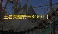 王者荣耀安卓ROOT【奥迪】辅助