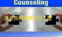 王者荣耀苹果IOS【星光】辅助
