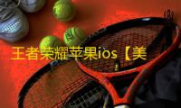 王者荣耀苹果ios【美国队长】辅助