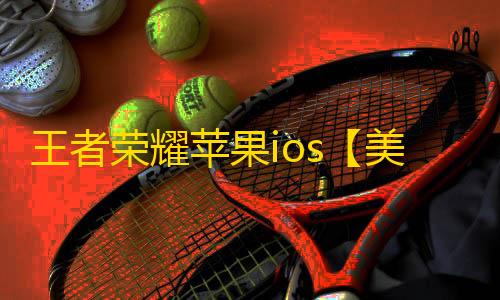 王者荣耀苹果ios【美国队长】辅助