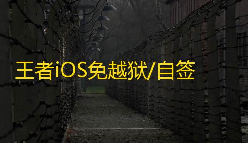 王者iOS免越狱/自签【王者荣耀内部】辅助