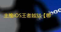 主推iOS王者越狱【哪吒】辅助