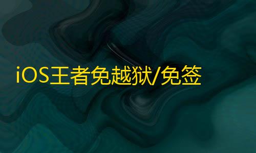 iOS王者免越狱/免签名【龙王】辅助